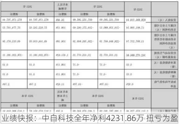 业绩快报：中自科技全年净利4231.86万 扭亏为盈-第2张图片-