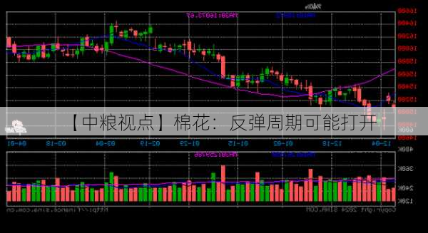 【中粮视点】棉花：反弹周期可能打开-第1张图片-