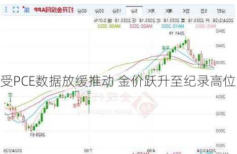 受PCE数据放缓推动 金价跃升至纪录高位