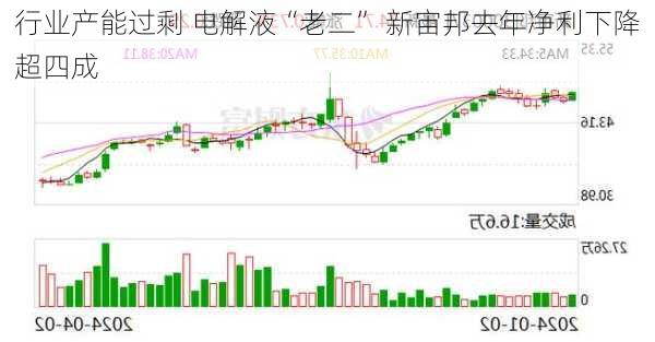 行业产能过剩 电解液“老二” 新宙邦去年净利下降超四成-第2张图片-