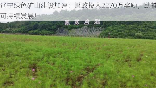 辽宁绿色矿山建设加速：财政投入2270万奖励，助推可持续发展！-第1张图片-