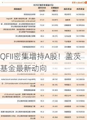 QFII密集增持A股！盖茨基金最新动向-第3张图片-