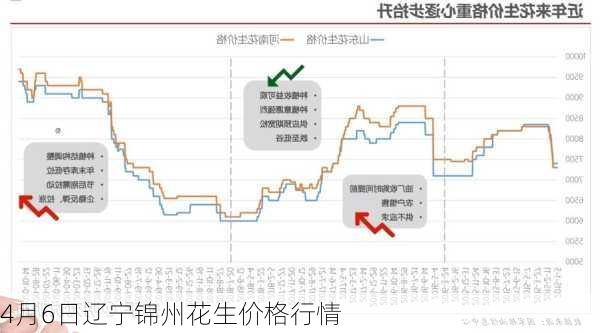 4月6日辽宁锦州花生价格行情-第1张图片-