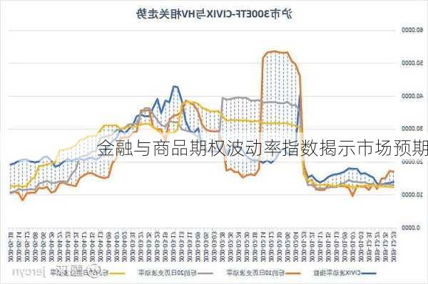 金融与商品期权波动率指数揭示市场预期-第2张图片-