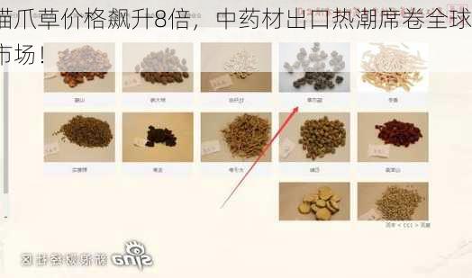 猫爪草价格飙升8倍，中药材出口热潮席卷全球市场！-第2张图片-