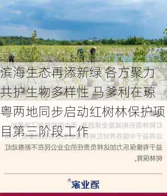 滨海生态再添新绿 各方聚力共护生物多样性 马爹利在琼粤两地同步启动红树林保护项目第三阶段工作-第1张图片-