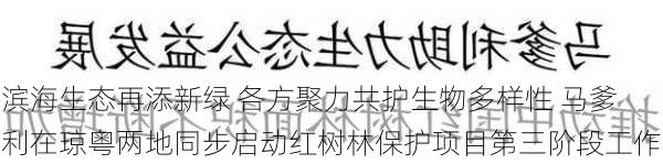 滨海生态再添新绿 各方聚力共护生物多样性 马爹利在琼粤两地同步启动红树林保护项目第三阶段工作-第3张图片-