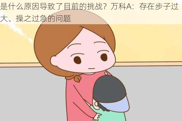 是什么原因导致了目前的挑战？万科A：存在步子过大、操之过急的问题-第2张图片-