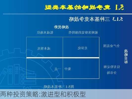 两种投资策略:激进型和积极型