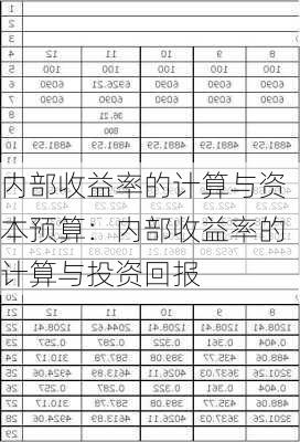 内部收益率的计算与资本预算：内部收益率的计算与投资回报-第2张图片-