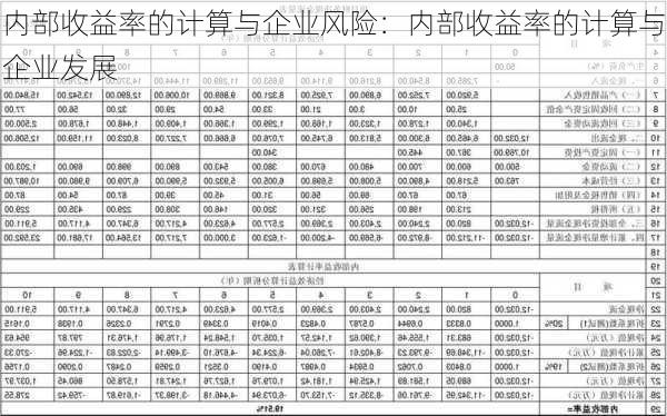 内部收益率的计算与企业风险：内部收益率的计算与企业发展-第1张图片-