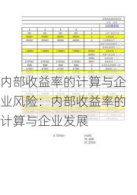 内部收益率的计算与企业风险：内部收益率的计算与企业发展-第3张图片-