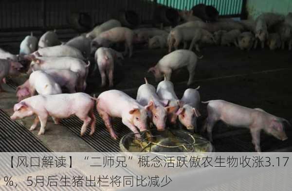 【风口解读】“二师兄”概念活跃傲农生物收涨3.17%，5月后生猪出栏将同比减少-第1张图片-