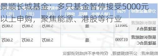 景顺长城基金：多只基金暂停接受5000元以上申购，聚焦能源、港股等行业