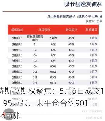 特斯拉期权聚焦：5月6日成交141.95万张，未平仓合约901.86万张-第1张图片-