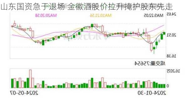 山东国资急于退场 金徽酒股价拉升掩护股东先走-第1张图片-