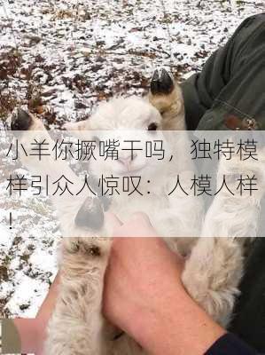 小羊你撅嘴干吗，独特模样引众人惊叹：人模人样！-第1张图片-