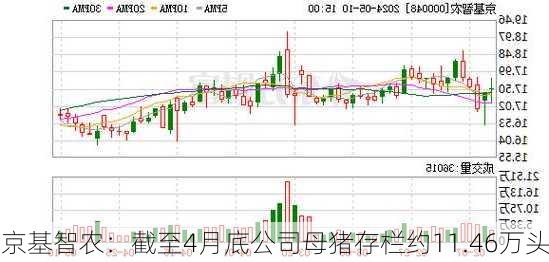 京基智农：截至4月底公司母猪存栏约11.46万头-第1张图片-