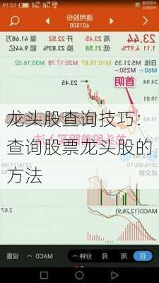 龙头股查询技巧：查询股票龙头股的方法-第1张图片-