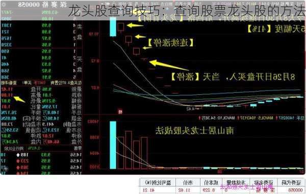 龙头股查询技巧：查询股票龙头股的方法-第3张图片-