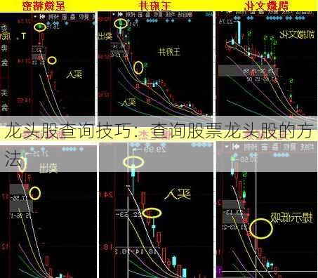 龙头股查询技巧：查询股票龙头股的方法-第2张图片-