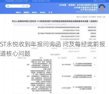 ST永悦收到年报问询函 问及每经此前报道核心问题-第2张图片-