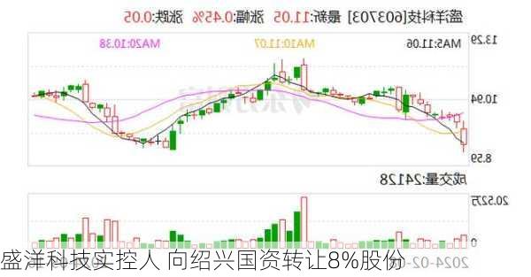 盛洋科技实控人 向绍兴国资转让8%股份-第1张图片-