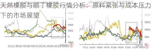 天然橡胶与顺丁橡胶行情分析：原料紧张与成本压力下的市场展望-第3张图片-