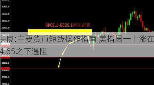 田洪良:主要货币短线操作指南 美指周一上涨在104.65之下遇阻