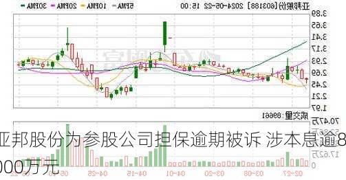 亚邦股份为参股公司担保逾期被诉 涉本息逾8000万元-第2张图片-