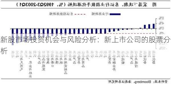 新股市场投资机会与风险分析：新上市公司的股票分析-第2张图片-