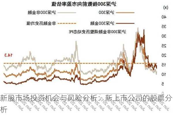 新股市场投资机会与风险分析：新上市公司的股票分析-第3张图片-