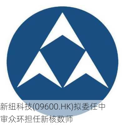 新纽科技(09600.HK)拟委任中审众环担任新核数师-第1张图片-