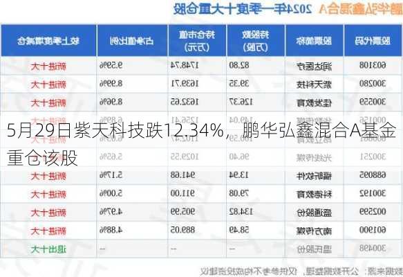 5月29日紫天科技跌12.34%，鹏华弘鑫混合A基金重仓该股-第1张图片-