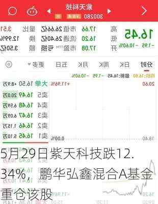 5月29日紫天科技跌12.34%，鹏华弘鑫混合A基金重仓该股-第2张图片-