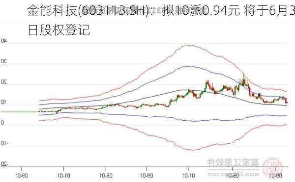 金能科技(603113.SH)：拟10派0.94元 将于6月3日股权登记-第2张图片-