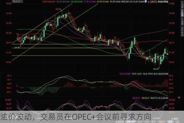 油价波动，交易员在OPEC+会议前寻求方向-第3张图片-