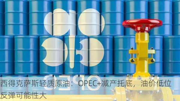 西得克萨斯轻质原油：OPEC+减产托底，油价低位反弹可能性大-第2张图片-