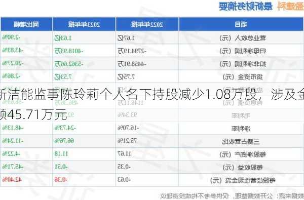 新洁能监事陈玲莉个人名下持股减少1.08万股，涉及金额45.71万元-第1张图片-