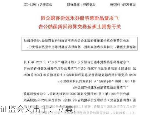 证监会又出手：立案！-第3张图片-