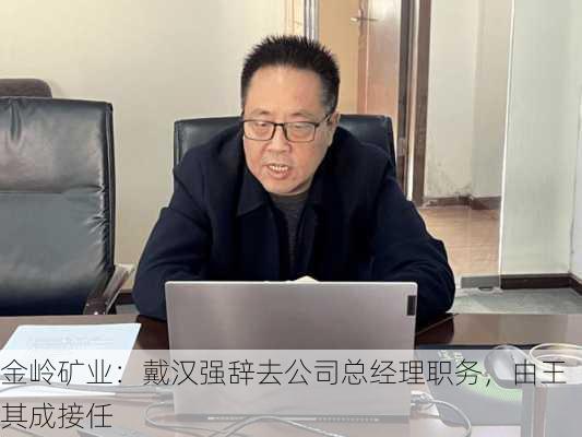 金岭矿业：戴汉强辞去公司总经理职务，由王其成接任-第2张图片-