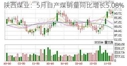 陕西煤业：5月自产煤销量同比增长5.08%