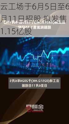 云工场于6月5日至6月11日招股 拟发售1.15亿股