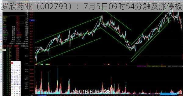 罗欣药业（002793）：7月5日09时54分触及涨停板-第1张图片-