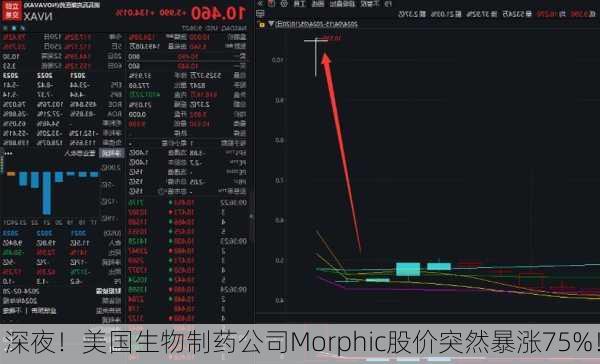 深夜！美国生物制药公司Morphic股价突然暴涨75%！-第3张图片-