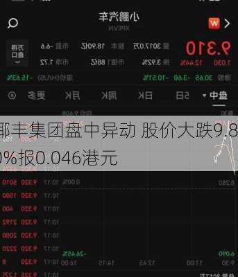 椰丰集团盘中异动 股价大跌9.80%报0.046港元-第2张图片-