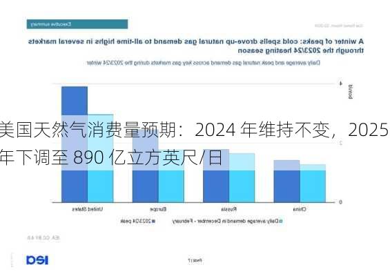 美国天然气消费量预期：2024 年维持不变，2025 年下调至 890 亿立方英尺/日-第1张图片-