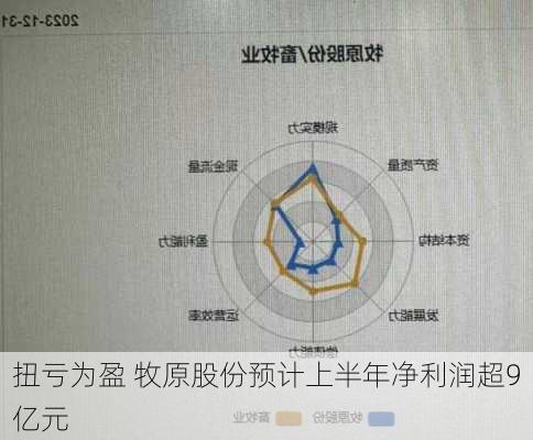 扭亏为盈 牧原股份预计上半年净利润超9亿元-第1张图片-