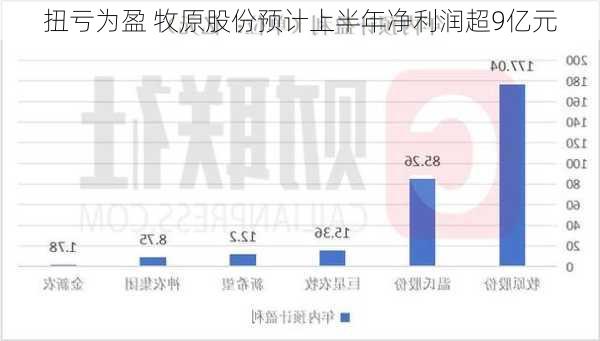 扭亏为盈 牧原股份预计上半年净利润超9亿元-第2张图片-