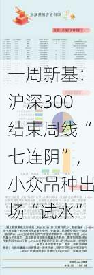 一周新基：沪深300结束周线“七连阴”，小众品种出场“试水”